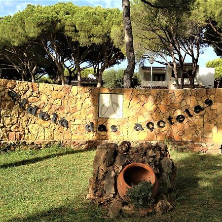 Casinha nas Açoteias Apartamento Olhos de Agua  Exterior foto